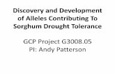 GRM 2011: Discovery and Development  of Alleles Contributing To  Sorghum Drought Tolerance