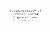Sustainability of service sector organizations