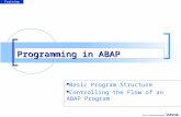 Programming in ABAP