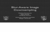 Blur-Aware Image Downsampling with notes