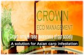 crown capital management l A solution for Asian carp infestation