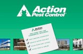 Action Pest Control gives advice for controlling pest birds
