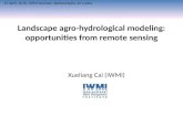 Landscape agro-hydrological modeling: opportunities from remote sensing