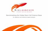 Showcase Analysis Of Stem Cell Research Base