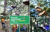 Forest Adventure Park Il Gigante in Florence - Groups Booklet 2014