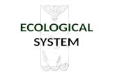 Ecology notes 1  ecosystem