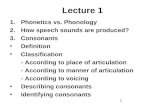 Lecture 1 Consonants
