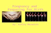 Pregnancy and Preparing for Birth