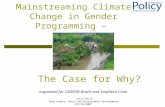Gender and climate change for UN officials