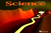 Science - June 25th 2010 (True PDF) Malestrom