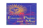 Energy, Plants & Man