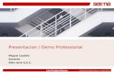 Live Product Demos Copyright ©2005, SERENA Software, Inc. All Rights Reserved Presentacion / Demo Professional Miguel Castillo Gerente Odin tech S,A.C.