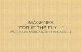 IMÁGENES FOR IF THE FLY… ( POR SI LAS MOSCAS, JUST IN CASE….)