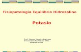 Fisiopatología Equilibrio Hidrosalino Prof. Marcos Moreira Espinoza Universidad Austral de Chile Valdivia- Chile Potasio.
