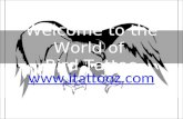 Tattoo Pictures & Tattoos Picture