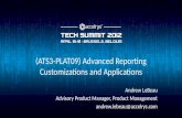 (ATS3-PLAT09) Advanced Reporting Customizations and Applications