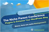 Plugins to enhance your word press blog -Presentation at Niche Parent 13