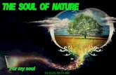 The Soul Of Nature (Nx Power Lite)