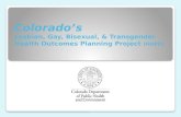 LGBT HOPP Strategic Plan Slides