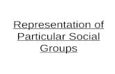 Representation of Particular Social Groups