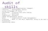 Audit of skills