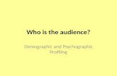 Who is the audience targetaudience pp