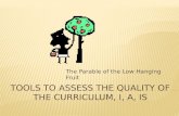 Tools To  Assess The  Quality Of The  Curriculum