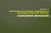 Consumer behavior session 2 intro to consumer and cbb