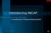 INCAP In Depth Catalytic Crystallization Waterproofing Compound