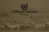 Offbeat Riding Safaris