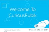 Human capital management with net suite tribehr   curiousrubik