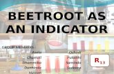 Beetroot as an indicator