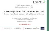 Third sector futures dialogue 5 seminar 14 2 13   a strategic lead for the third sector