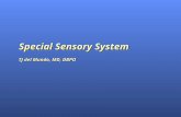 Special Sensory System