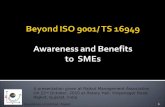 Beyond ISO 9001 : Benefits to SMEs