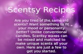 Scentsy recipes approved