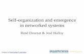 Academic Course: 02 Self-organization and emergence in networked systems