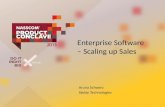 Enterprise Software - Scaling up Sales