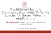 Machine-to-Machine Communication over TV White Spaces for Smart Metering Applications