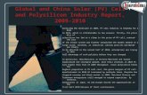 Global and china solar (pv) cell and polysilicon industry report, 2009 2010