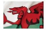 Jackson & Head - Welsh Information Literacy Project: our first steps to an information literate nation