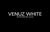 Venuz White: Archivo de pintura 2004 - 2006