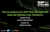 How to analyze your sap data and optimize your workforce
