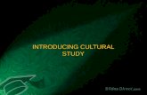Introducting cultural study