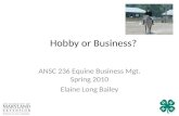 Hobby or Business?