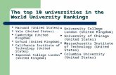 Famous universities for expositon