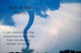 Theme 1 Eye of the Storm vocabulary