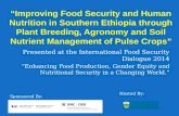 Sustainable Food Production:  Improving Food Security and Human Nutrition in Southern Ethiopia through Plant Breeding, Agronomy and Soil Nutrient Management of Pulse Crops