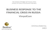 Russia’s business response to financial crisis