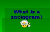 What is a Sociogram?